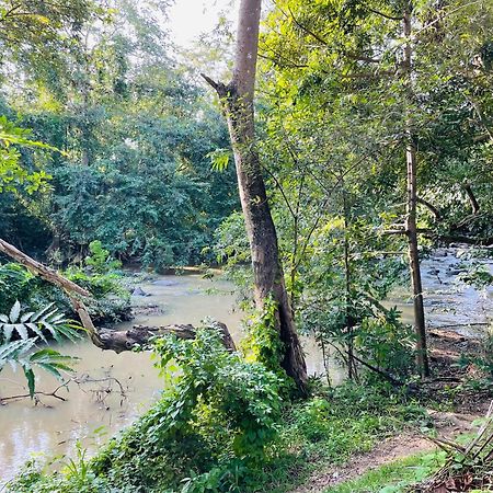 Yala Safari River View Hotel Tissamaharama Eksteriør bilde