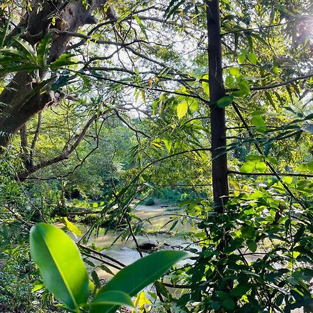Yala Safari River View Hotel Tissamaharama Eksteriør bilde