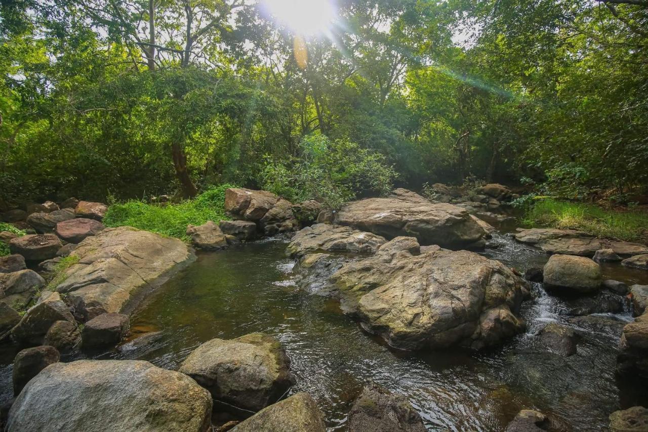 Yala Safari River View Hotel Tissamaharama Eksteriør bilde