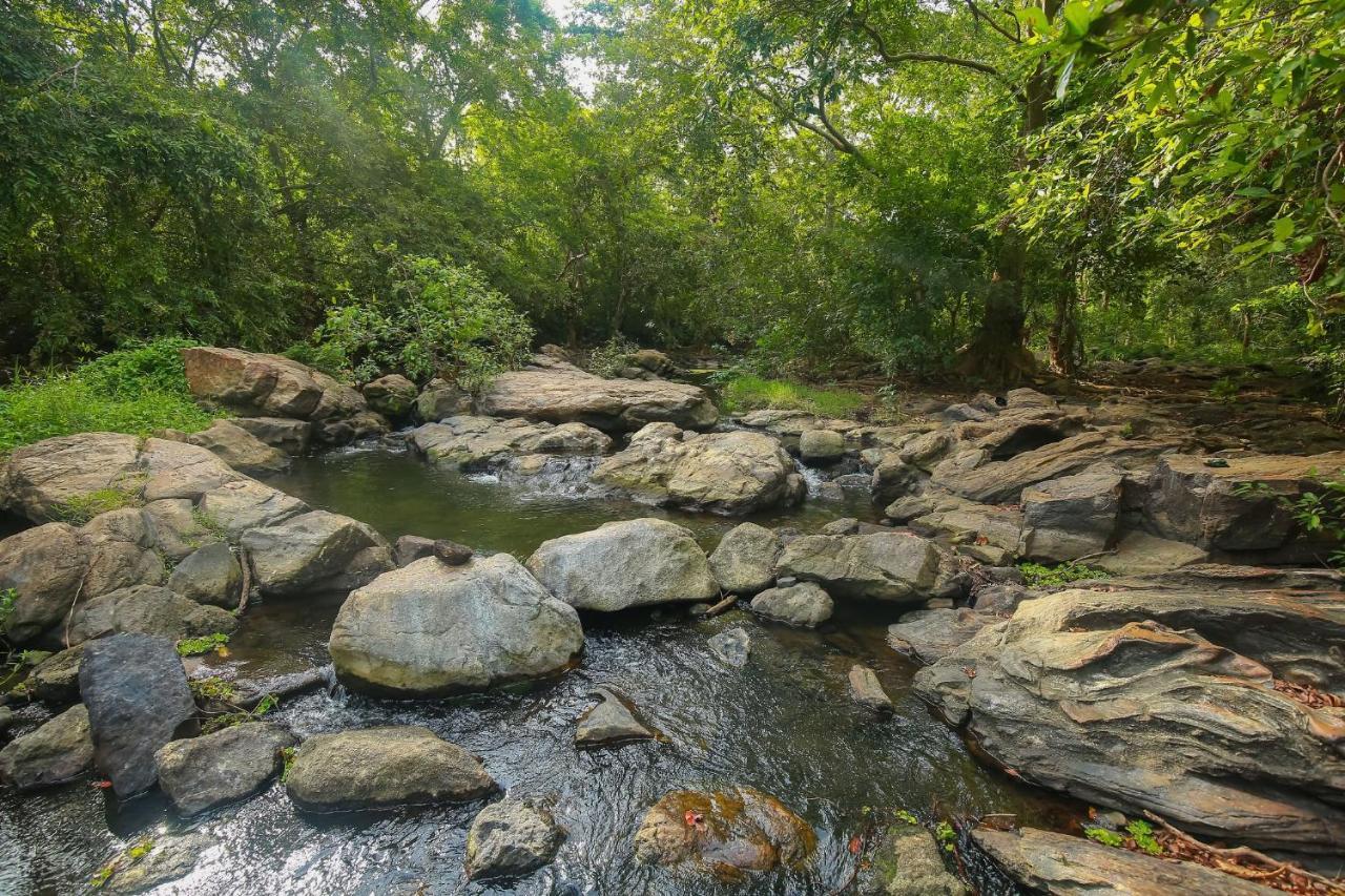 Yala Safari River View Hotel Tissamaharama Eksteriør bilde