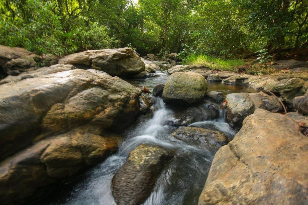 Yala Safari River View Hotel Tissamaharama Eksteriør bilde