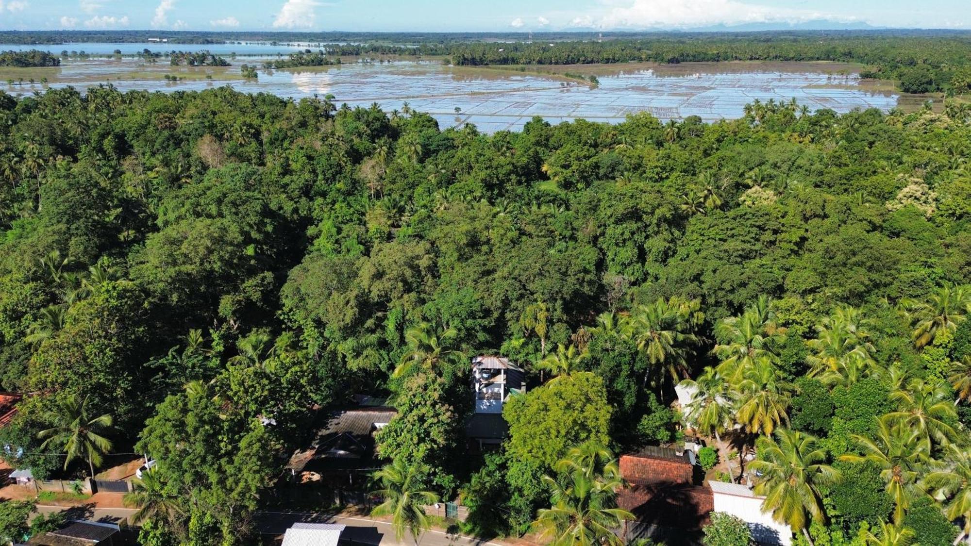 Yala Safari River View Hotel Tissamaharama Eksteriør bilde