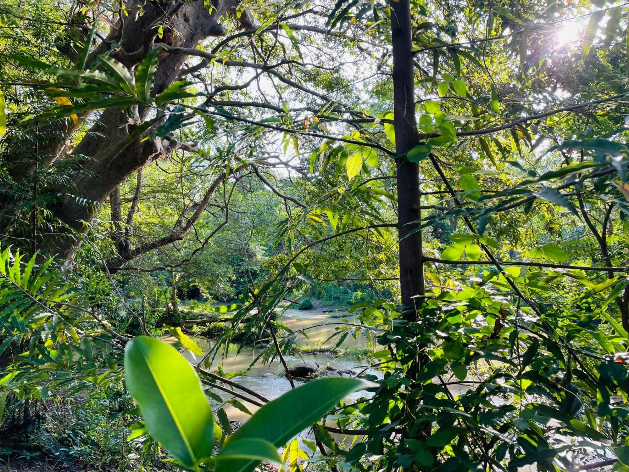 Yala Safari River View Hotel Tissamaharama Eksteriør bilde