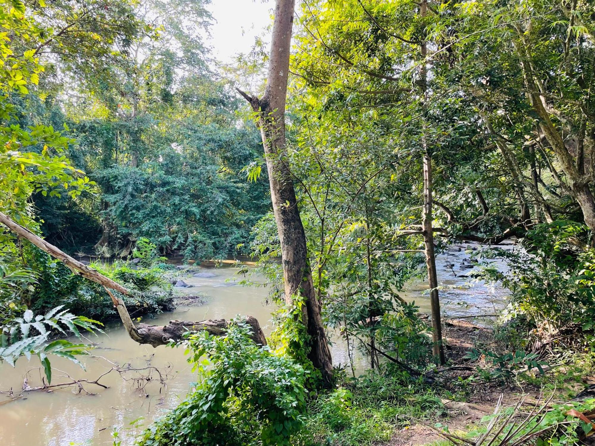 Yala Safari River View Hotel Tissamaharama Eksteriør bilde