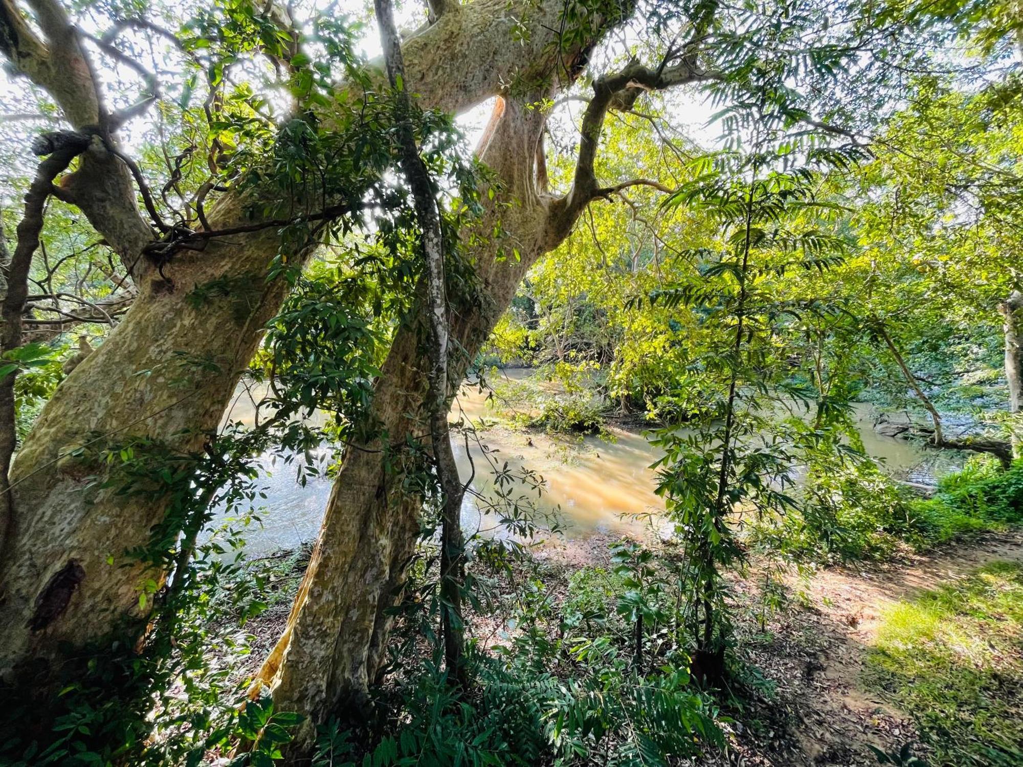 Yala Safari River View Hotel Tissamaharama Eksteriør bilde
