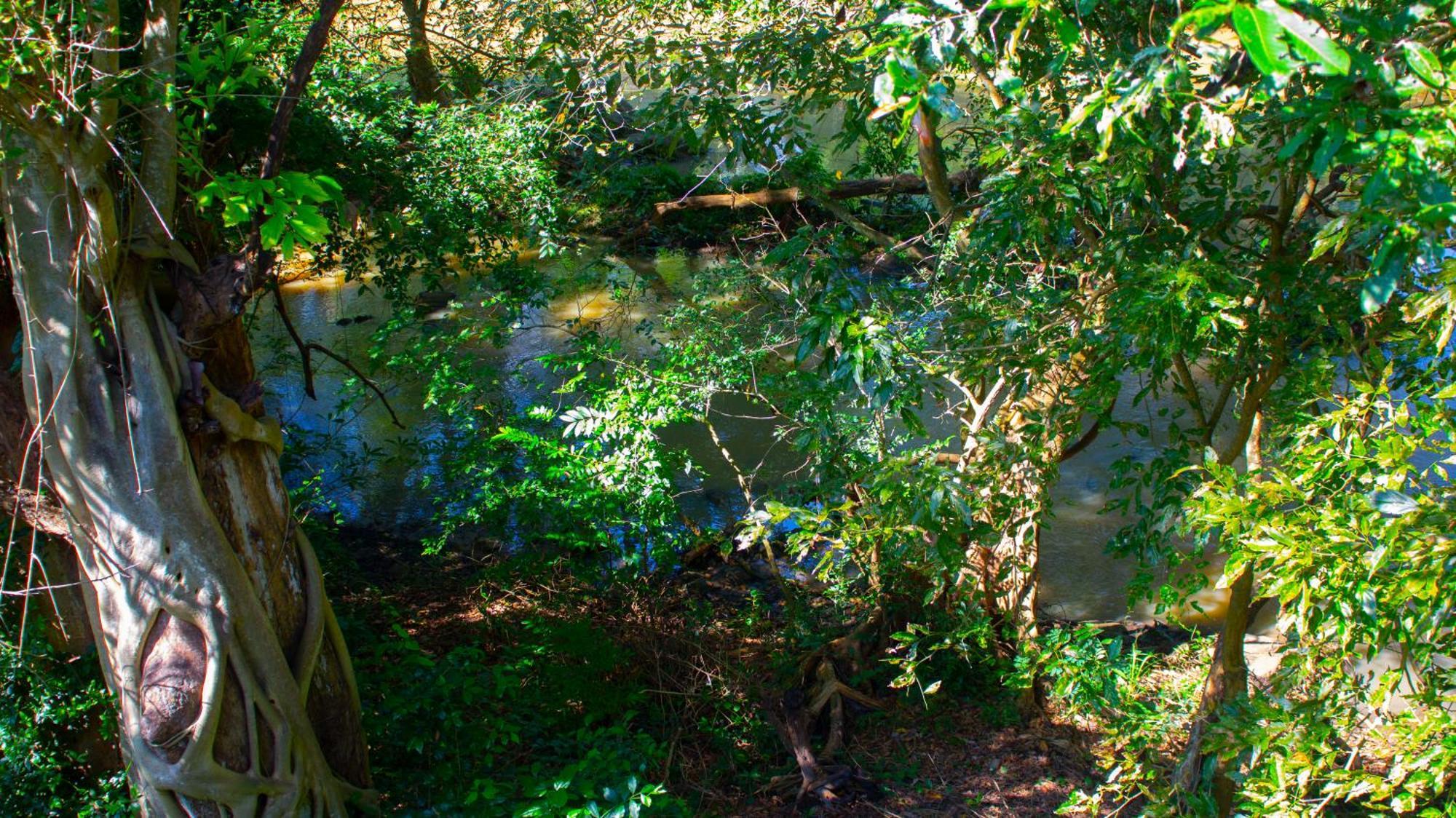 Yala Safari River View Hotel Tissamaharama Eksteriør bilde