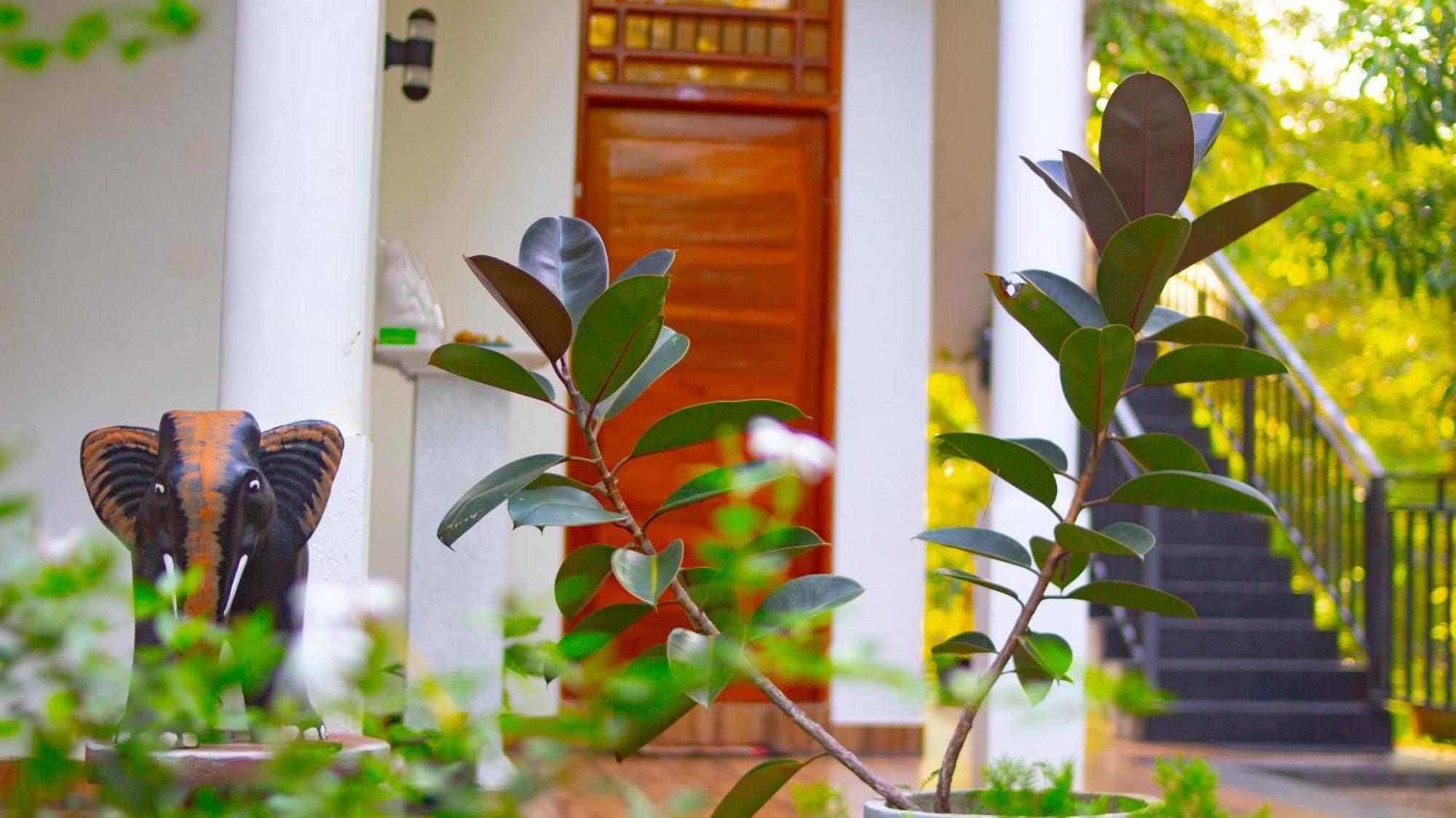 Yala Safari River View Hotel Tissamaharama Eksteriør bilde